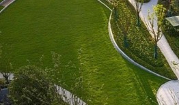 临平公园爆料最新消息,神秘事件引发热议，真相即将揭晓！